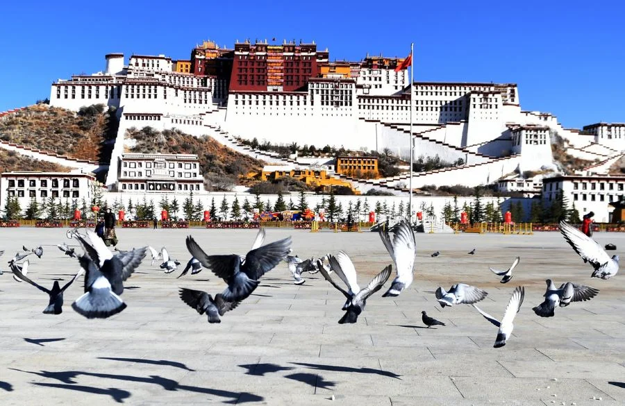 Cung điện Potala tọa lạc trên ngọn núi Marpo Ri là nơi lưu giữ nhiều tác phẩm nghệ thuật quý giá của nhân loại