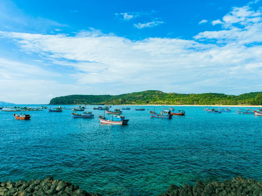 Vịnh Vũng Rô Phú Yên Ngắm nhìn vịnh đẹp nhất Đông Nam Á