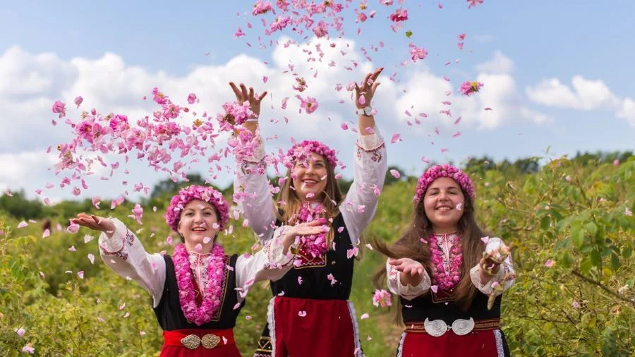 Từ lâu hoa hồng đã được xem là loài hoa biểu tượng của đất nước Bulgaria