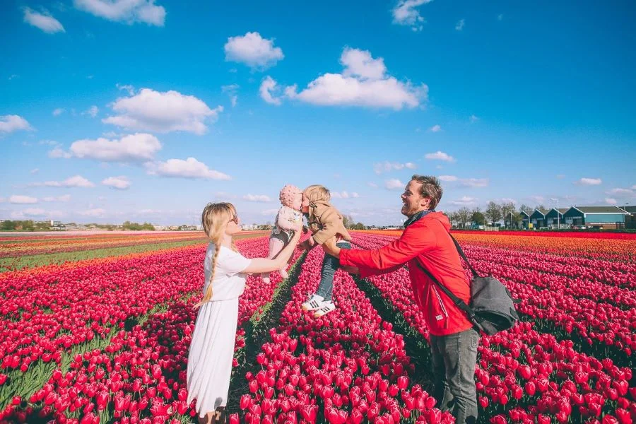 Nhắc đến Hà Lan là nhắc đến huyền thoại về loài hoa tulip sặc sỡ sắc màu 