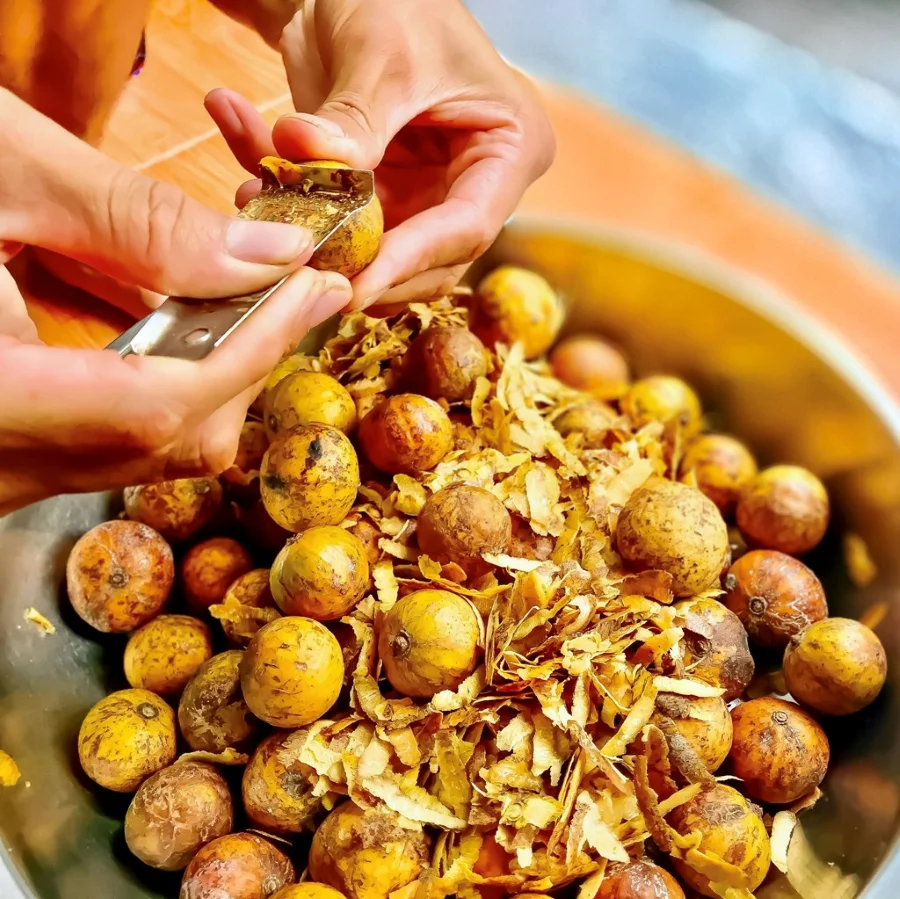 Nếu như mùa hè có ly nước sấu giải nhiệt thì mùa thu Hà Nội gọi tên những quả sấu chín vàng ươm
