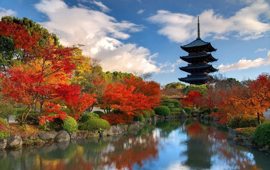 Cố đô Kyoto mang vẻ đẹp cổ kính, say đắm lòng người, níu chân du khách thập phương