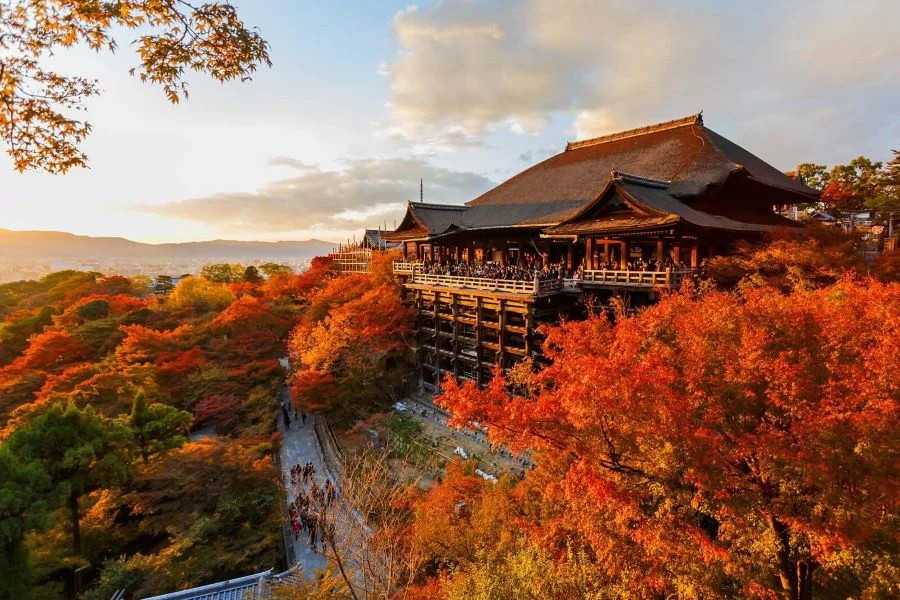 Cố đô Tokyo ngập tràn trong màu lá phong đỏ, cam, vàng
