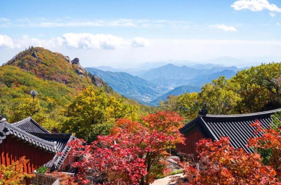Ngọn núi Jirisan sở hữu vẻ đẹp đầy huyền bí và ảo diệu khi được sương mù bao phủ gần như quanh năm