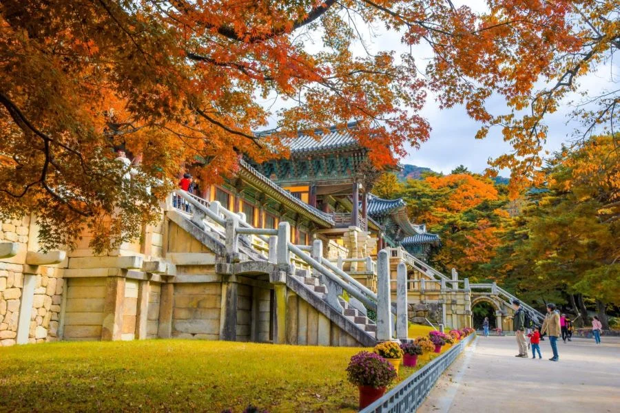 Mỗi khi thu sang, sắc vàng sắc đỏ rực rỡ của những chiếc lá phong tô điểm thêm cho khung cảnh đền Bulguksa