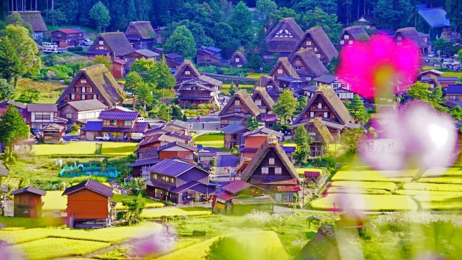 Những địa điểm du lịch nổi tiếng tại Nhật Bản bạn không thể bỏ lỡ
