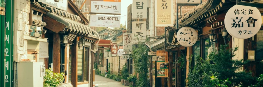 Insadong là một khu phố cổ kính với những con đường lát đá cuội với những ngôi nhà hanok truyền thống
