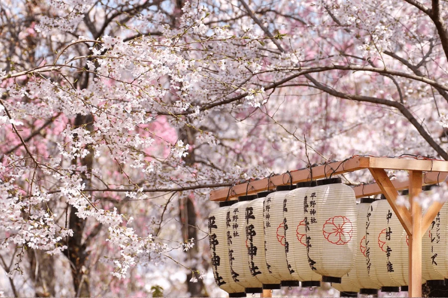 Hokkaido cũng là một trong những điểm đến thú vị thu hút đông đảo du khách mỗi năm