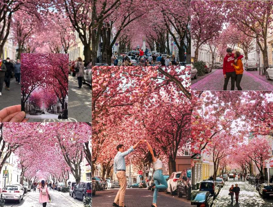 Các góc check in xinh xắn tại Bonn