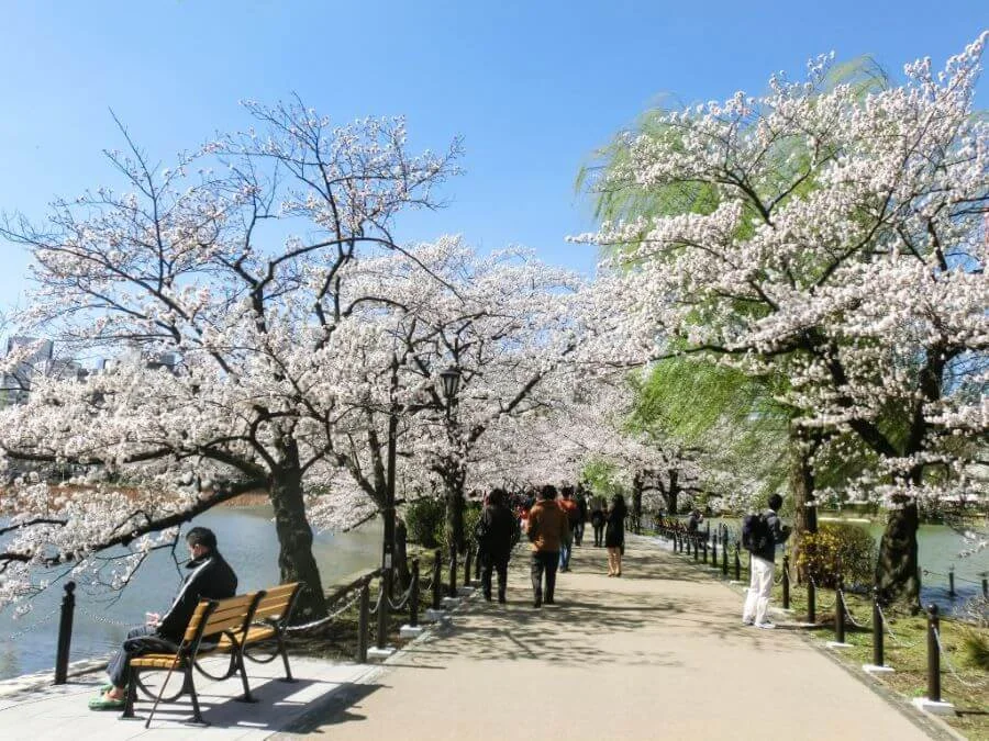 Công viên Ueno là một trong những công viên địa danh nổi tiếng nhất ở Tokyo