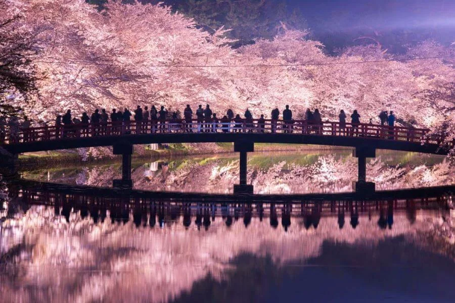 Khu vực Hirosaki ở tỉnh Aomori Nhật Bản là một điểm đến không thể bỏ qua vào mùa xuân