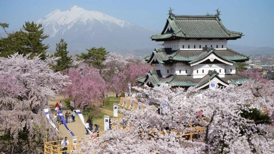 Lễ hội hoa anh đào Hirosaki là một trong những sự kiện nổi bật của khu vực này