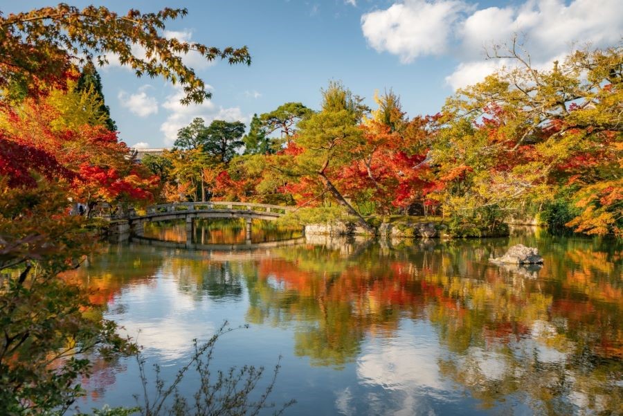 Choáng ngợp trước vẻ đẹp của Kyoto khi vào thu