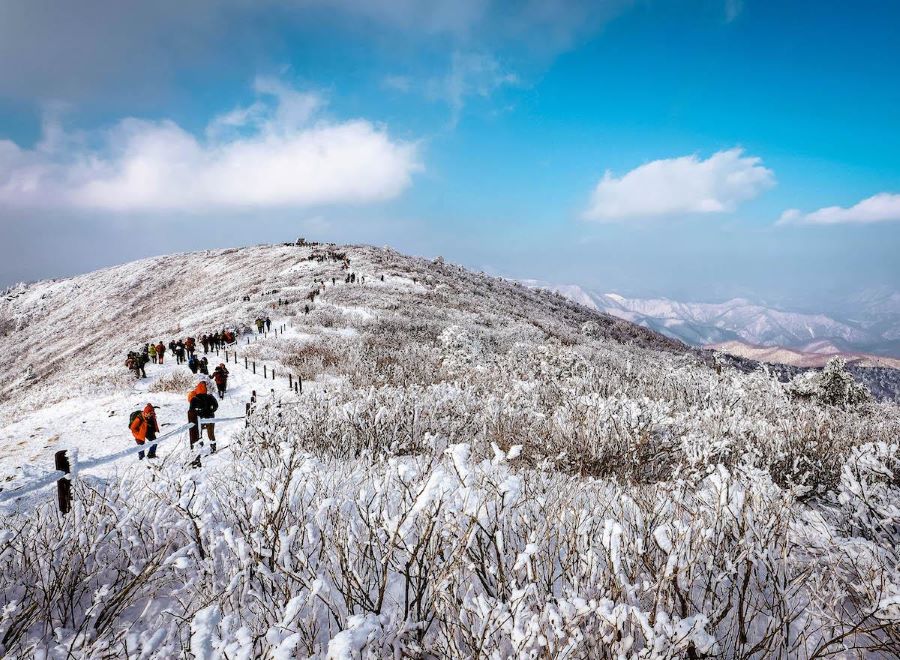  Taebaek - Một trong những điểm đến tuyệt vời cho kỳ nghỉ đông ở Hàn Quốc