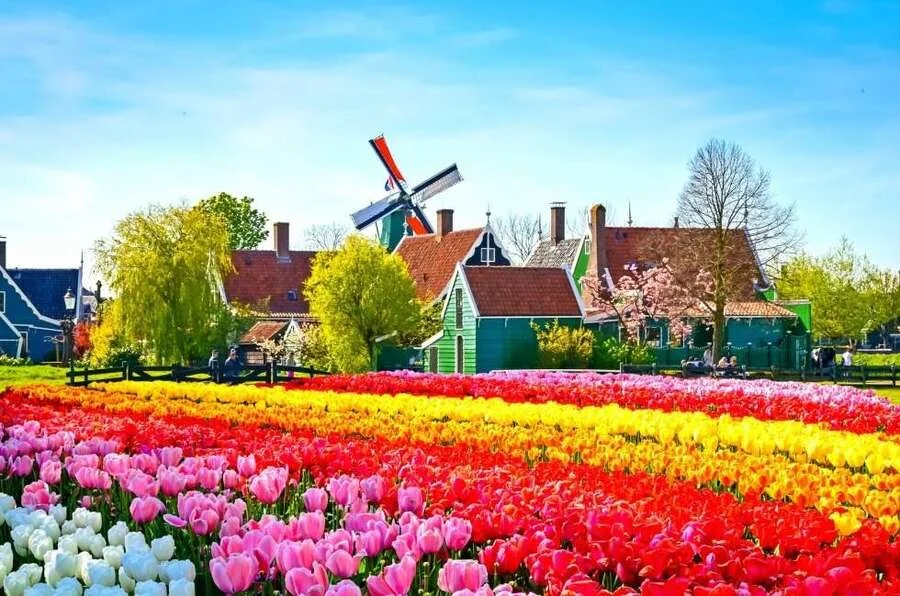 Mùa xuân nước Úc vô cùng dễ chịu và thư giãn