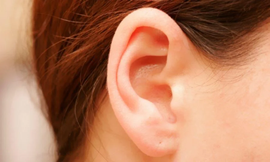 Người ta thường nói tai to có phúc phần, bởi thế người Hàn Quốc xem đây là biểu tượng của sự may mắn