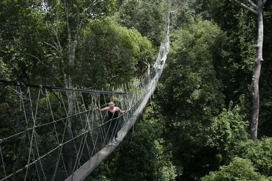 Taman Negara là khu vực bảo tồn thiên nhiên lớn nhất và cổ nhất ở Malaysia