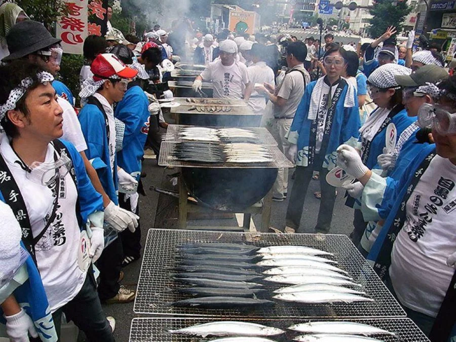Khi vào mùa thu thịt cá thu đao Sanma sẽ ngon hơn rất nhiều