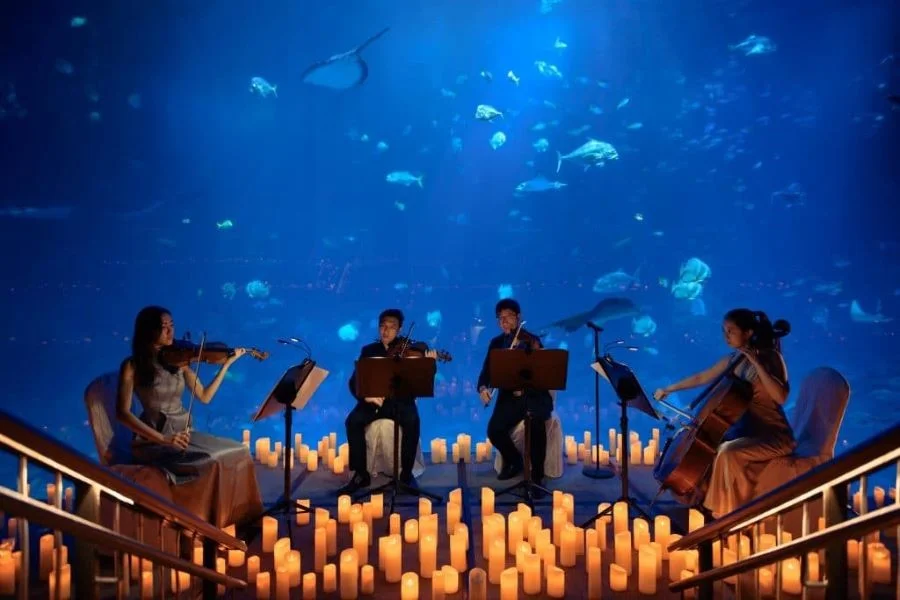 Du lịch thủy cung S.E.A Aquarium mang đến cho du khách nhiều trải nghiệm thú vị