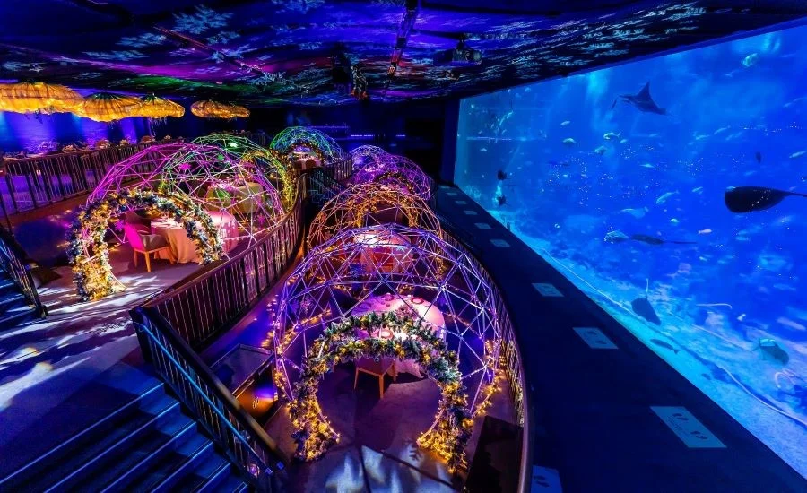 Thủy cung S.E.A Aquarium tọa lạc ngay đảo Sentosa xinh đẹp