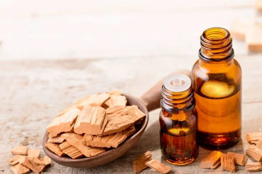 Gỗ đàn hương là một dược liệu quý giá, có tác dụng tốt trong trị bệnh và làm đẹp