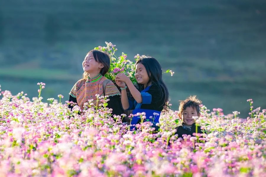 Ngỡ ngàng trước vẻ đẹp mùa hoa tam giác mạch Đông Bắc
