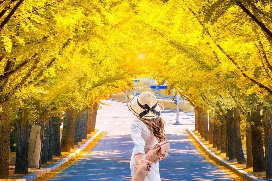 Khung cảnh nên thơ tại Hàn Quốc