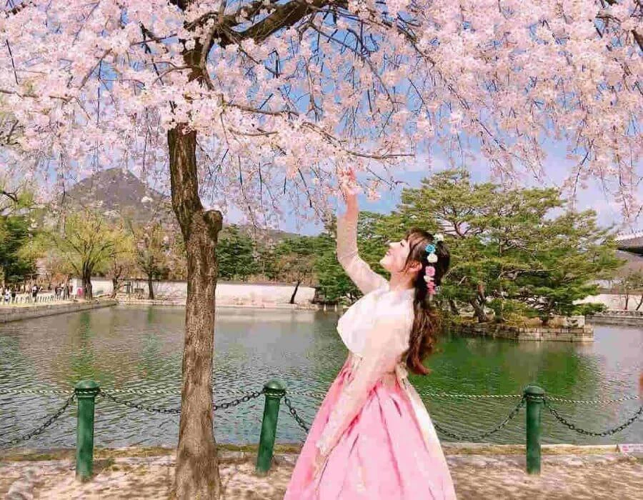 Tay nâng niu một cánh hoa đào mỏng manh sẽ giúp bạn trở nên tự nhiên và duyên dáng hơn trước ống kính máy ảnh