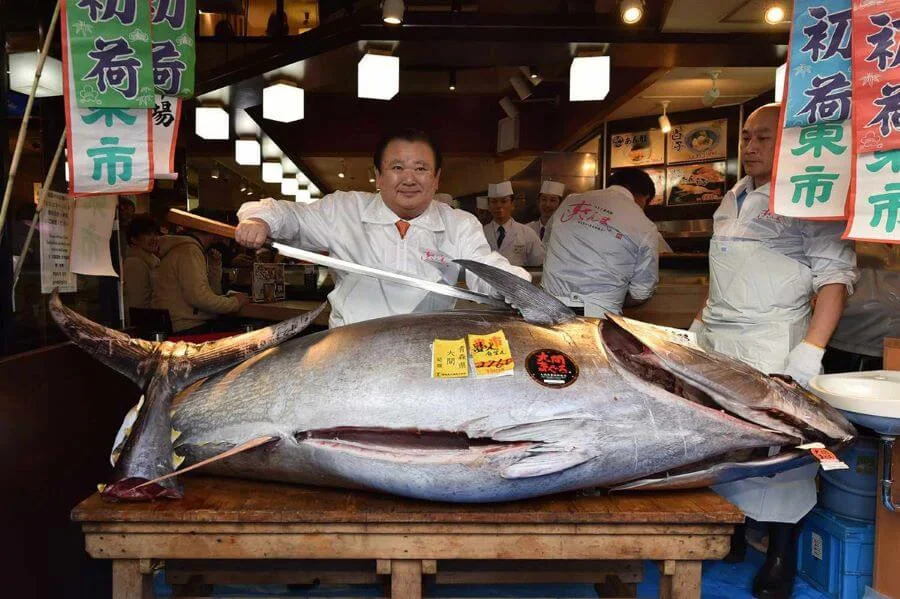Tham quan chợ cá Tsukiji là một trải nghiệm 0 đồng vô cùng thú vị