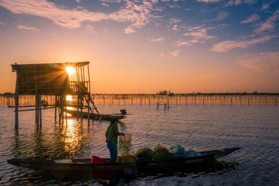 Đầm Chuồn - Nơi in dấu ấn bởi vẻ đẹp hút hồn nhưng vô cùng bình yên