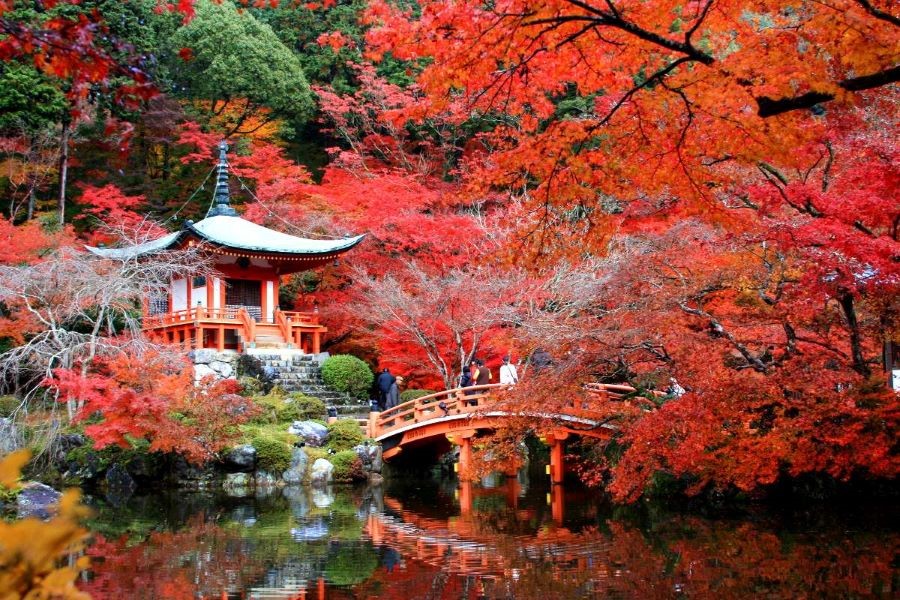 Đến với truyền thống “săn lá đỏ” tại Nhật Bản khi vào thu