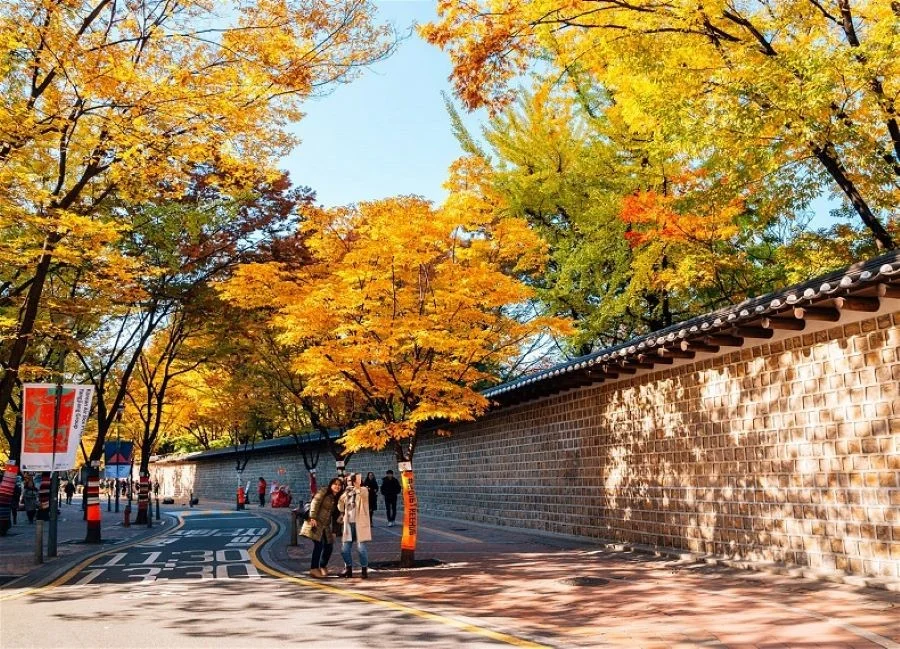 Công viên Namsan - một địa điểm lý tưởng để trang bộ