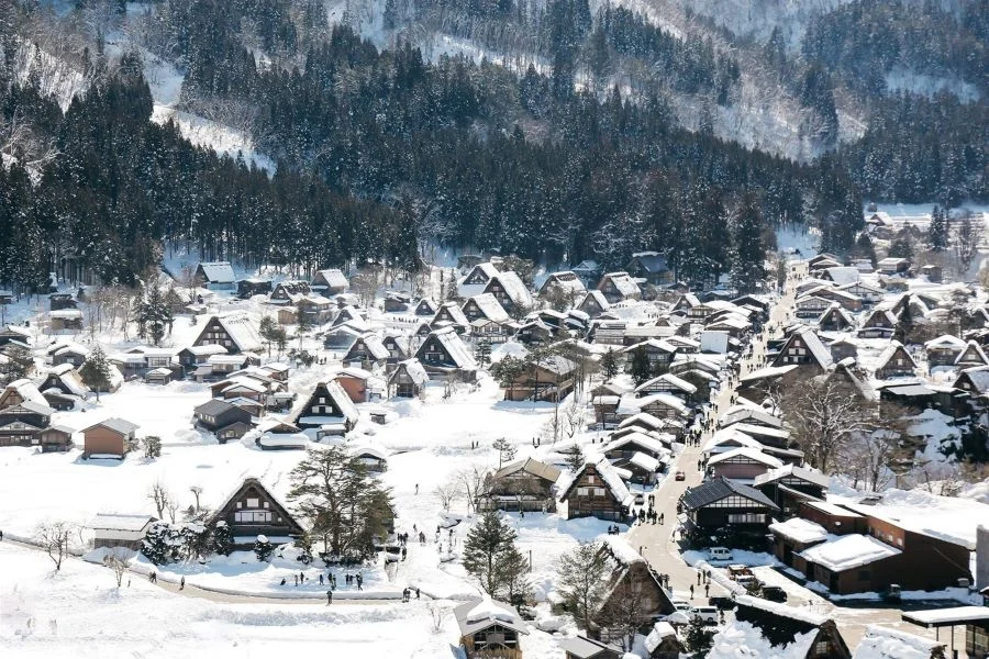Chiêm ngưỡng vẻ đẹp như tranh của ngôi làng cổ Shirakawago