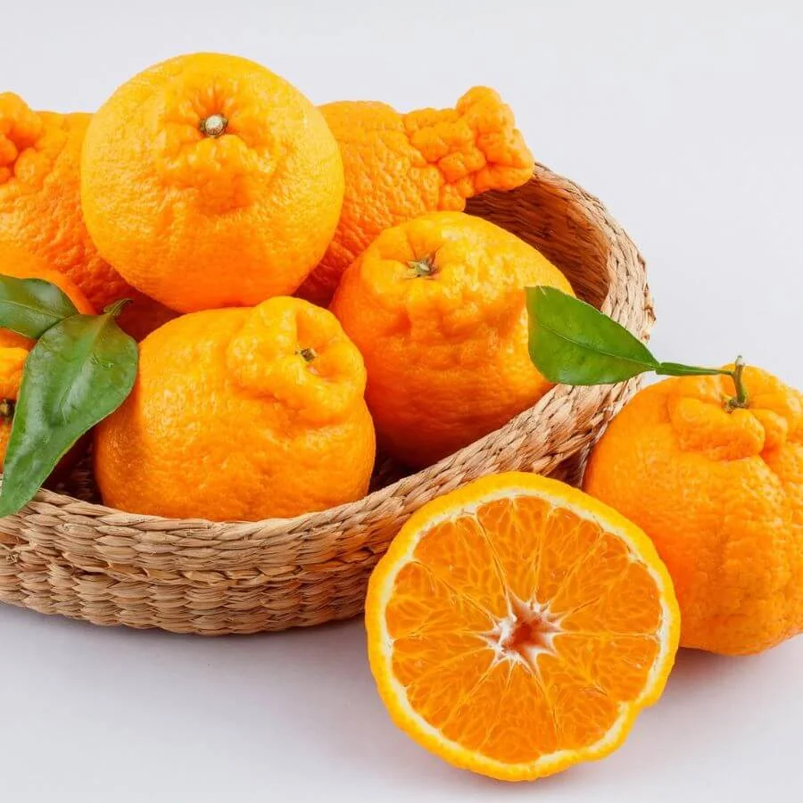 Quýt Jeju là một trong những đặc sản không thể bỏ qua khi đi du lịch Hàn Quốc