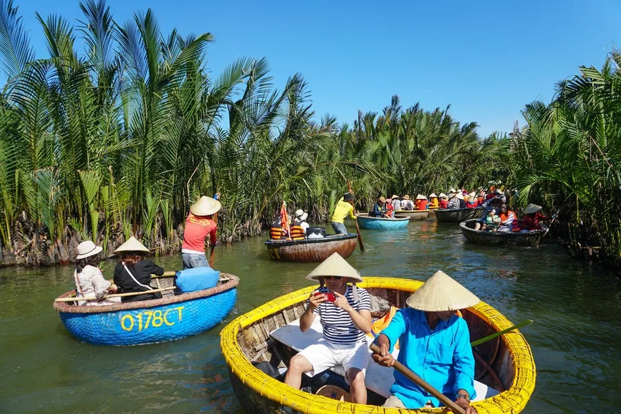 Rừng dừa 7 mẫu - điểm du độc lạ giữa lòng Miền Trung