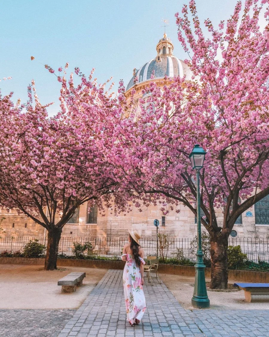 Du lịch Châu Âu mùa xuân ngắm hoa tại Paris