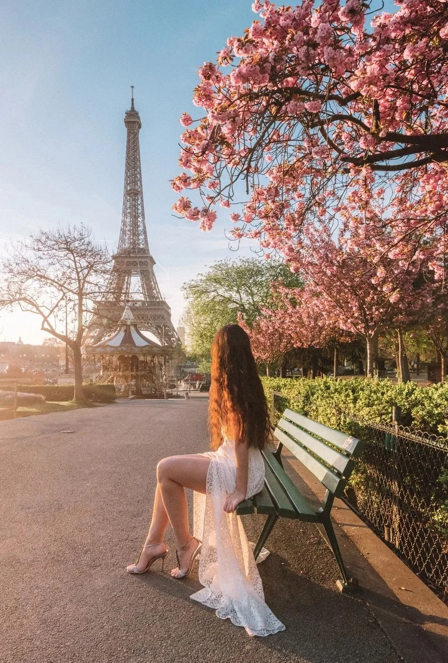 Ngắm hoa anh đào tại Paris vào mùa xuân