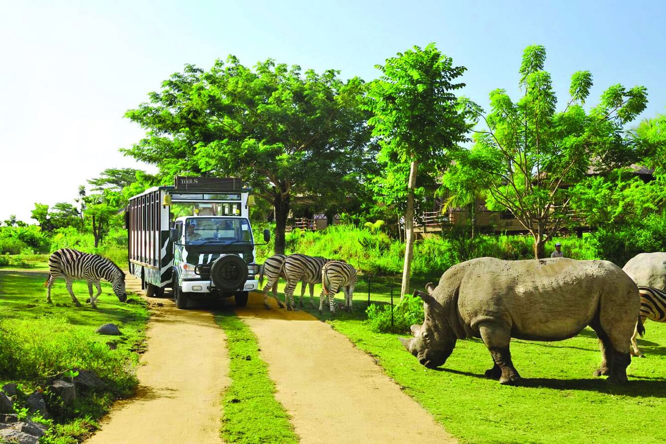 Review Vinpearl Safari – vườn thú mở đầu tiên ở Việt Nam