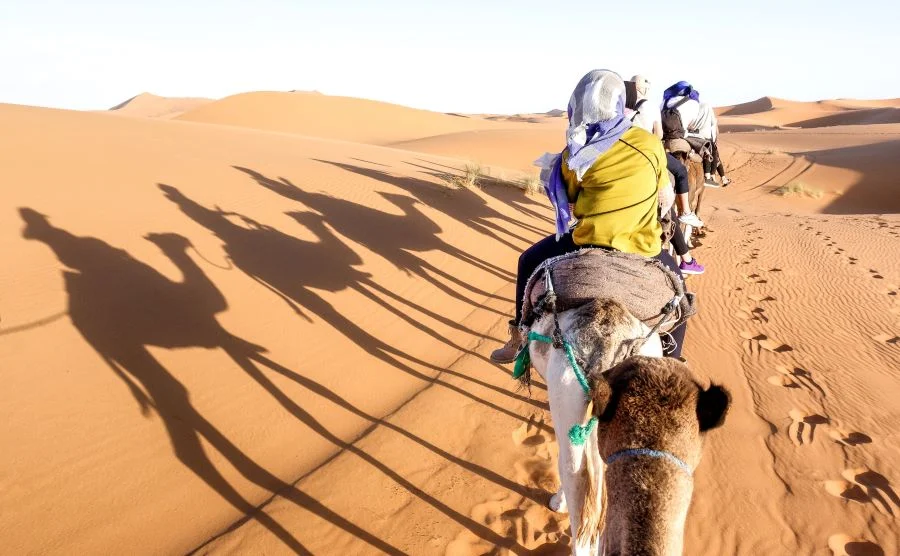 Làm sao có thể bỏ qua việc cưỡi trên lưng một chú lạc đà khi đến Safari