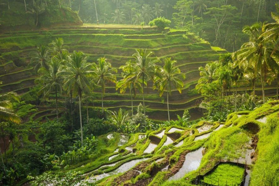 Bali còn gây ấn tượng với khung cảnh thiên nhiên hùng vĩ tại khu vực miền núi