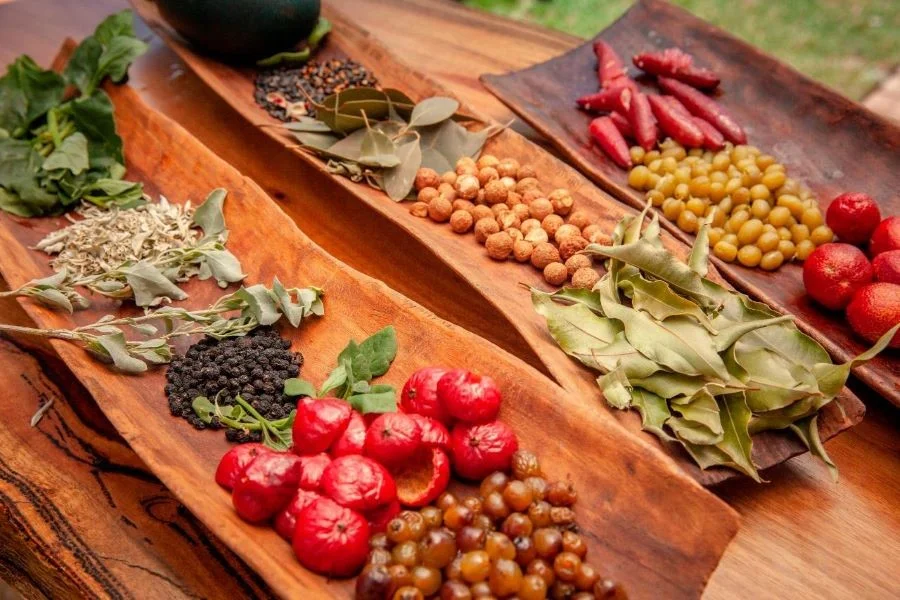 Bush Tucker - Một trong những món ăn truyền thống lâu đời của người Úc