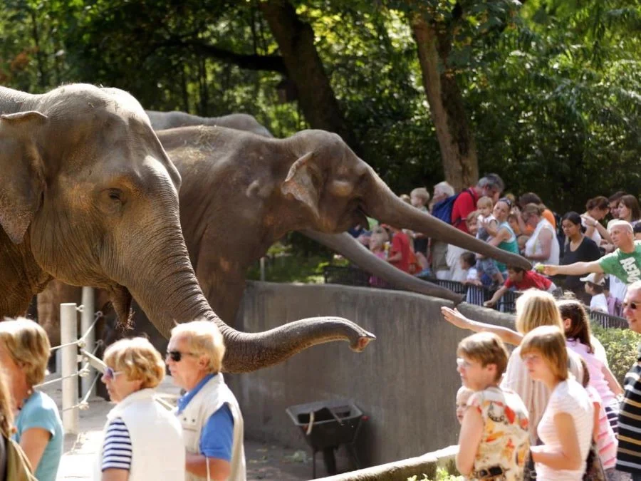 Vườn thú Tierpark Hagenbeck thu hút lượng lớn khách du lịch