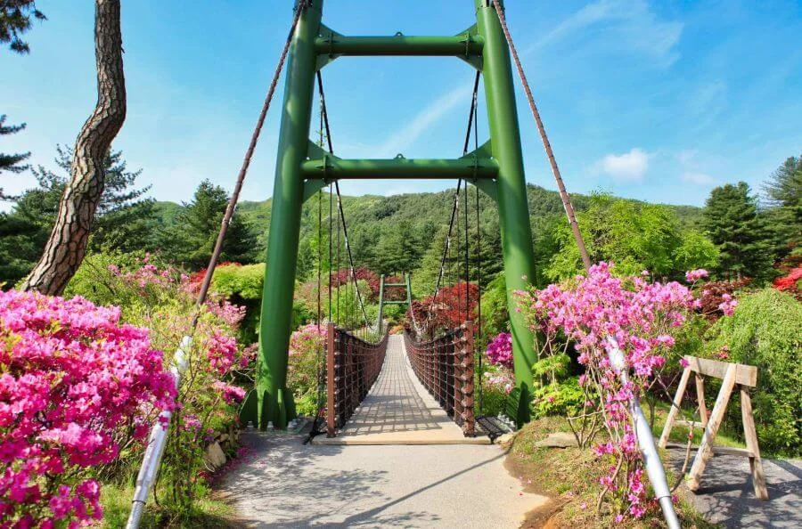Cầu Mây, hay Cloud Bridge, là một trong những biểu tượng nổi tiếng của The Garden of Morning Calm