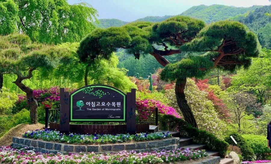 The Garden of Morning Calm là một tuyệt tác thiên nhiên nằm tại Gapyeong, Hàn Quốc