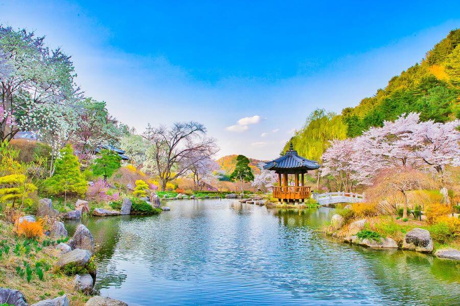 The Garden of Morning Calm vào mùa xuân như được khoác lên một tấm áo mới, tươi tắn và rực rỡ hơn bao giờ hết
