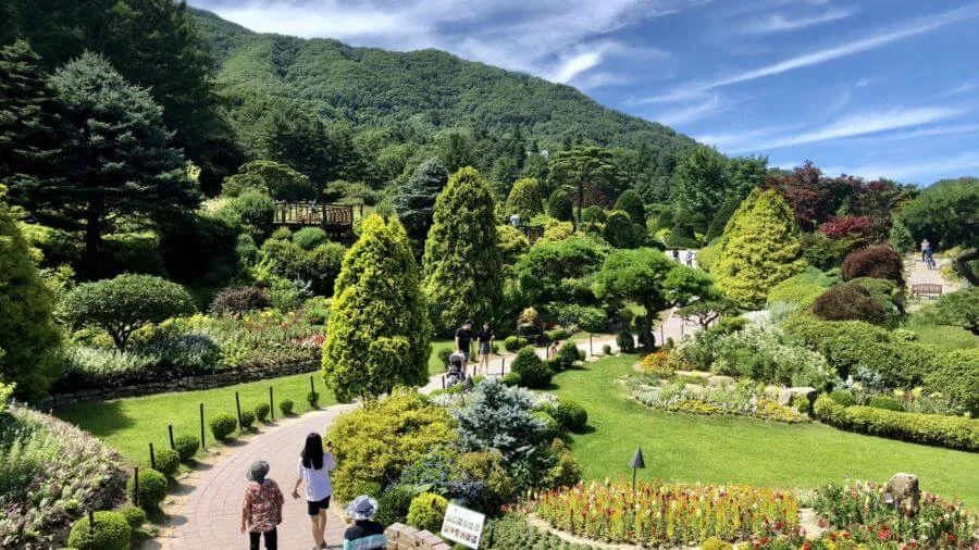 Không khí mùa hạ tại The Garden of Morning Calm thật sự ấm áp và dễ chịu