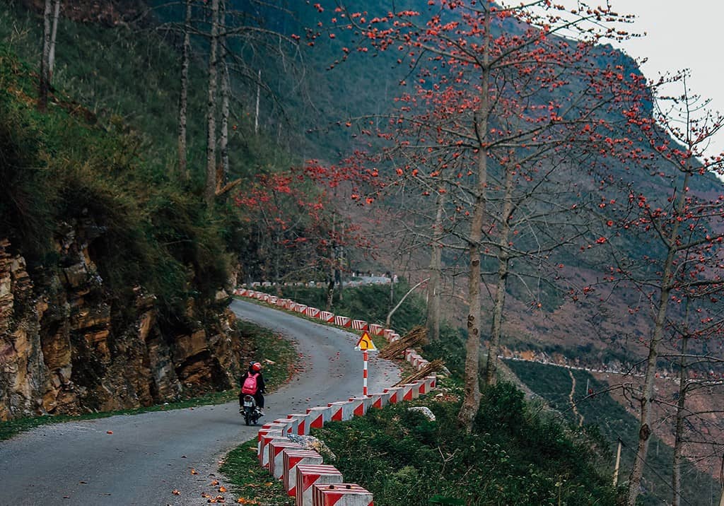 Chiêm ngưỡng "thiên đường hoa" trên cao nguyên đá Hà Giang Chiêm ngưỡng "thiên đường hoa" trên cao nguyên đá Hà Giang