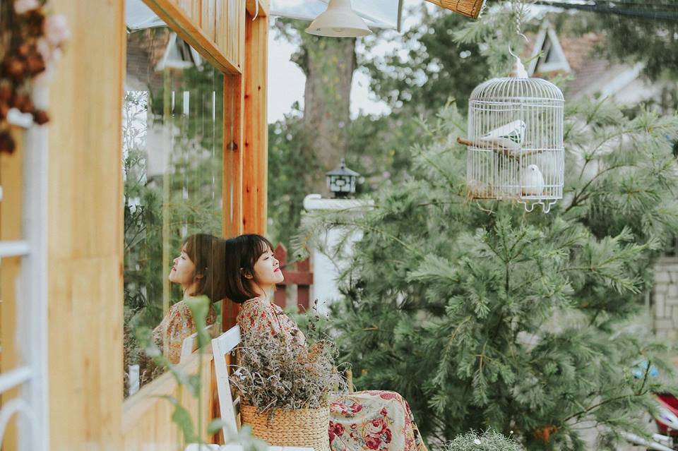 Thưởng thức trà trong căn nhà gỗ ngập tràn hoa Daisy giữa lòng Đà Lạt Thưởng thức trà trong căn nhà gỗ ngập tràn hoa Daisy giữa lòng Đà Lạt