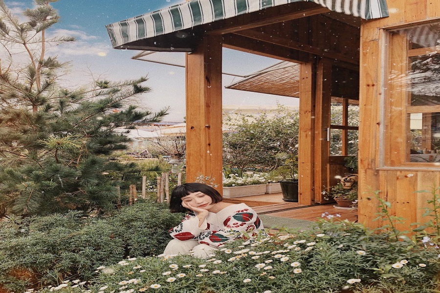 Thưởng thức trà trong căn nhà gỗ ngập tràn hoa Daisy giữa lòng Đà Lạt Thưởng thức trà trong căn nhà gỗ ngập tràn hoa Daisy giữa lòng Đà Lạt