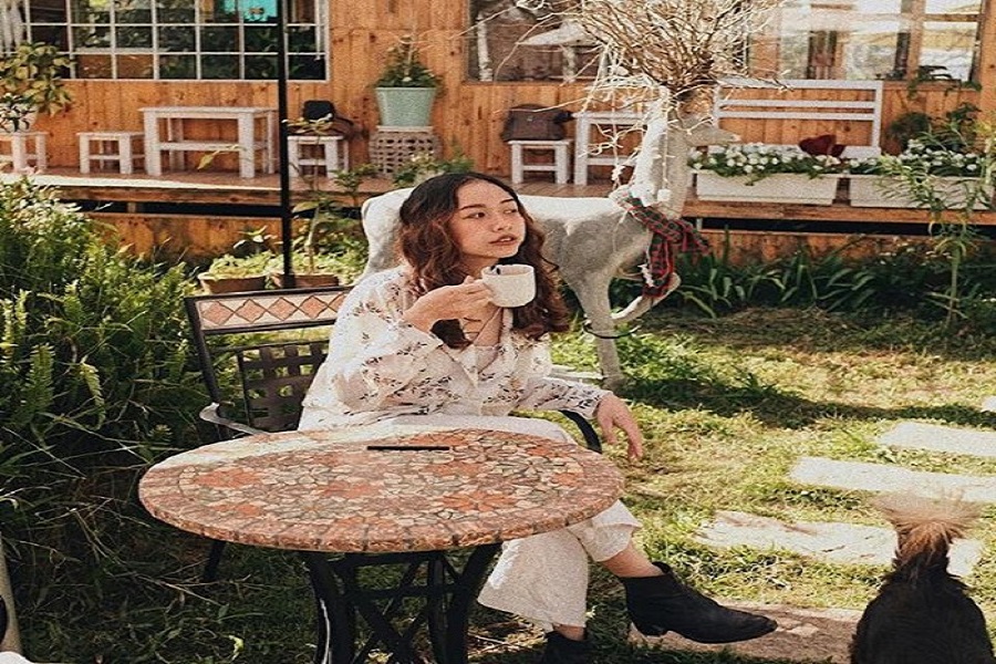 Thưởng thức trà trong căn nhà gỗ ngập tràn hoa Daisy giữa lòng Đà Lạt Thưởng thức trà trong căn nhà gỗ ngập tràn hoa Daisy giữa lòng Đà Lạt